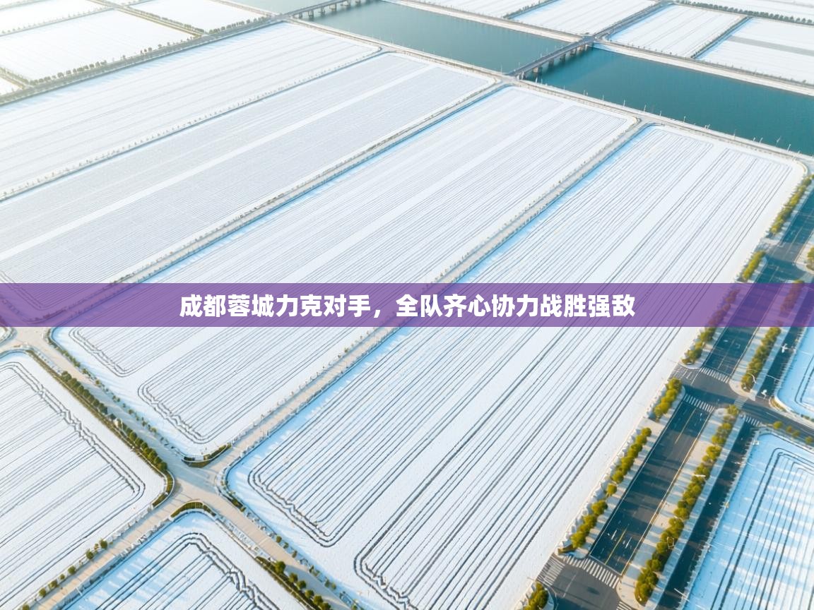 成都蓉城力克对手，全队齐心协力战胜强敌